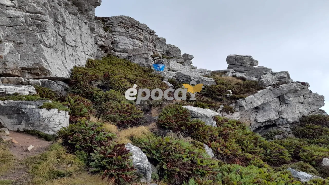 WhatsApp Image 2025-04-14 at 21.55.58 (2).jpeg