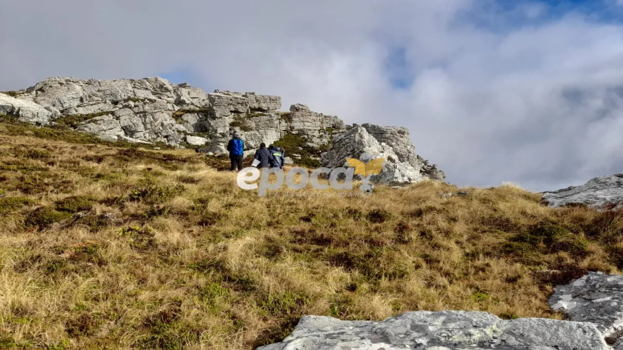 WhatsApp Image 2025-04-14 at 21.55.59.jpeg