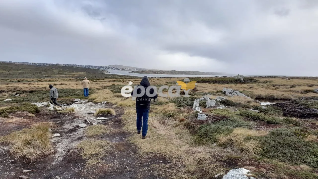 WhatsApp Image 2025-04-15 at 08.08.25.jpeg