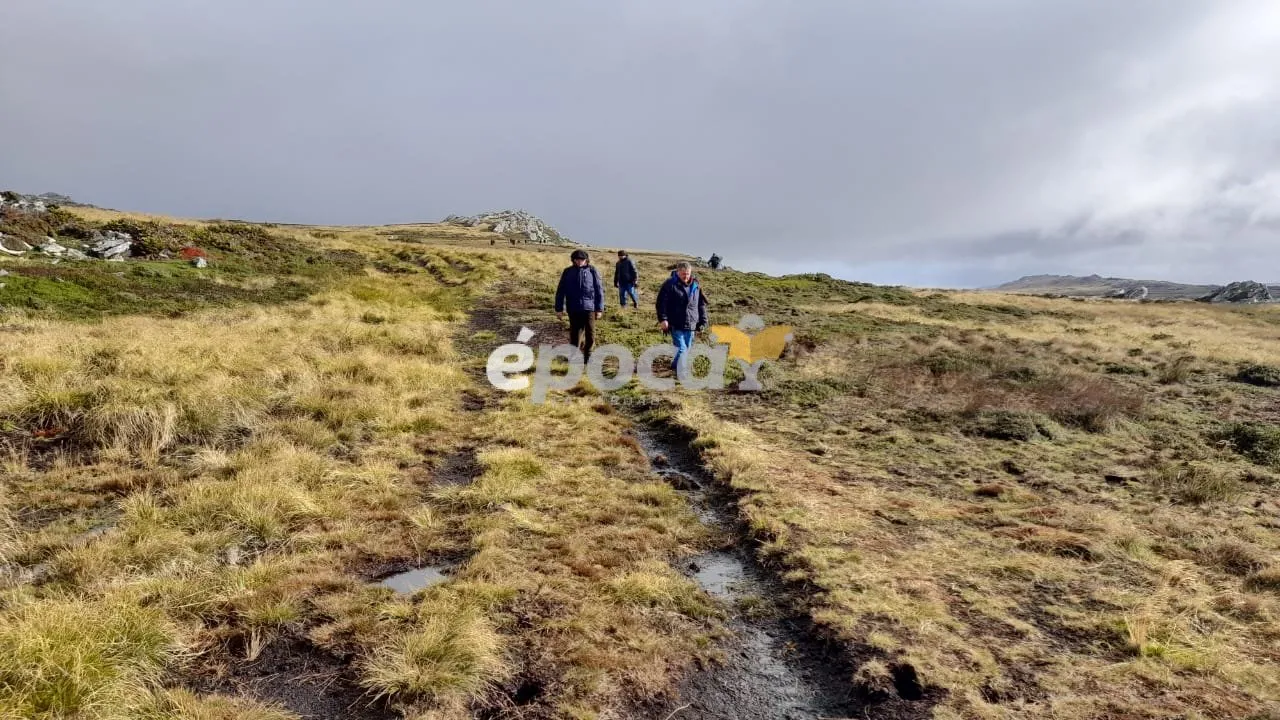 WhatsApp Image 2025-04-15 at 08.07.42 (2).jpeg