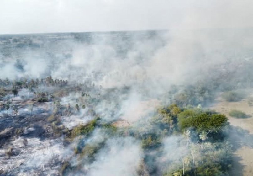 Más de 200 mil hectáreas quemadas en Corrientes: cuáles fueron las zonas más afectadas 