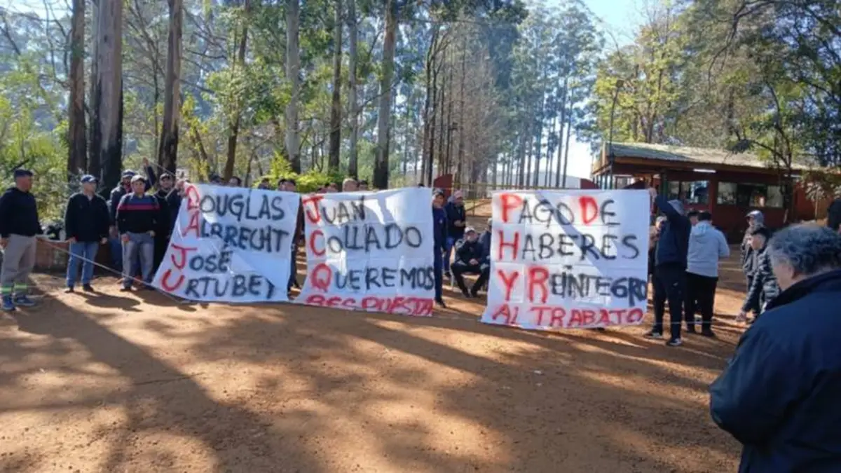 Forestadora Tapebicuá: trabajadores denuncian que la empresa les hizo una "propuesta insultante"